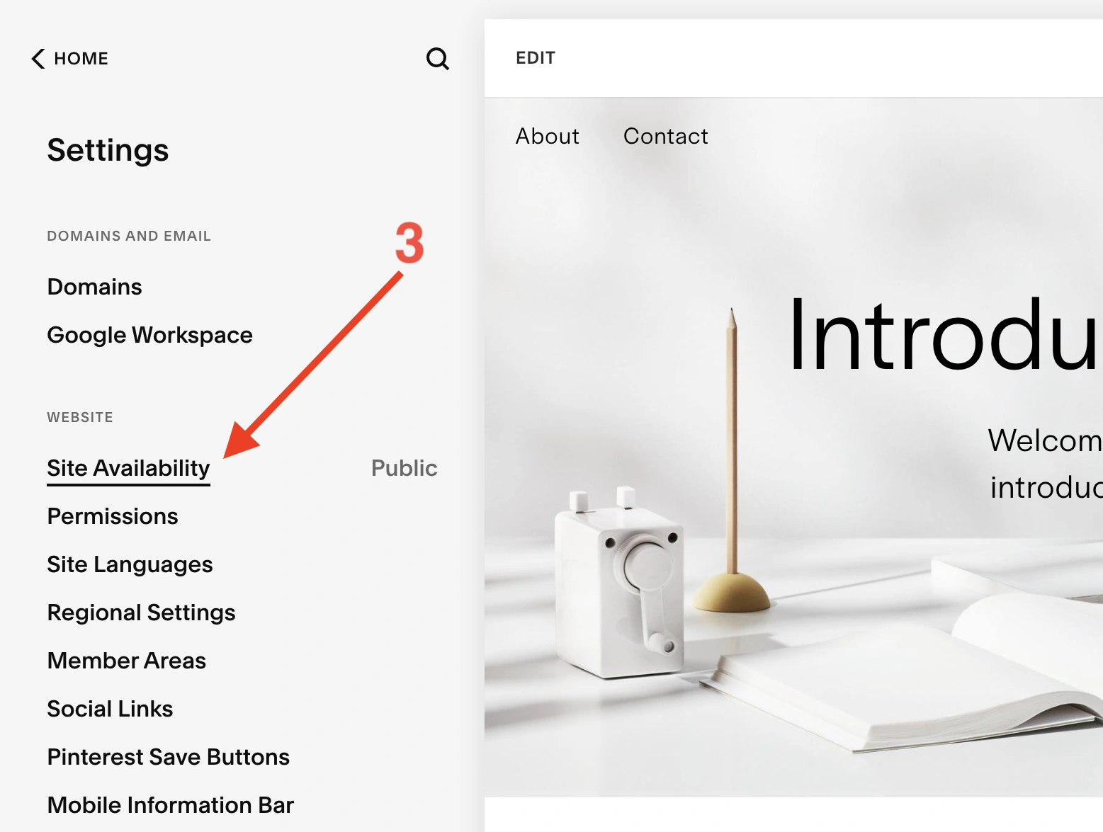 Go to the Squarespace website Site Availability settings