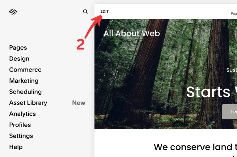 Edit Squarespace website