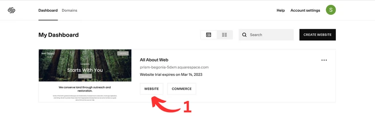 squarespace dashboard, selectig a website